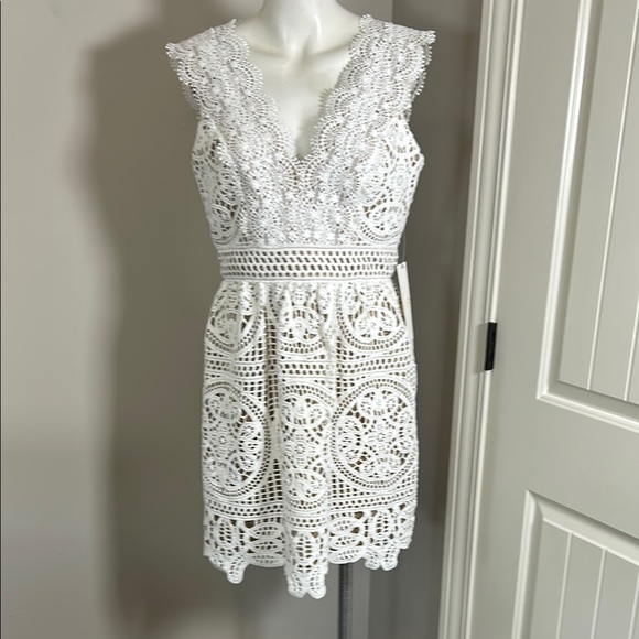 Monique Lhuillier x Anthropologie Yolande Lace Dress Ivory Scalloped Vneck 8 NEW - Picture 4 of 16